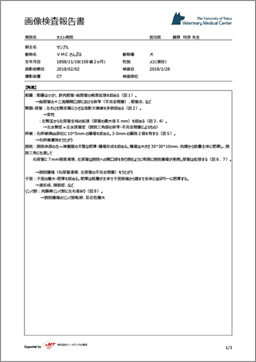 読影レポート例1
