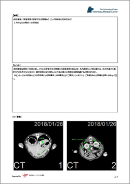 読影レポート例2